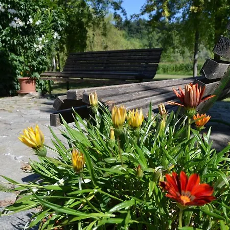 Trattoria Vecchio Mulino Niella Tanaro