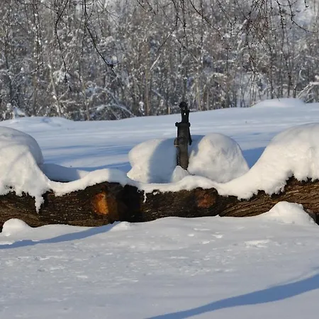 Bed & Breakfast Trattoria Vecchio Mulino